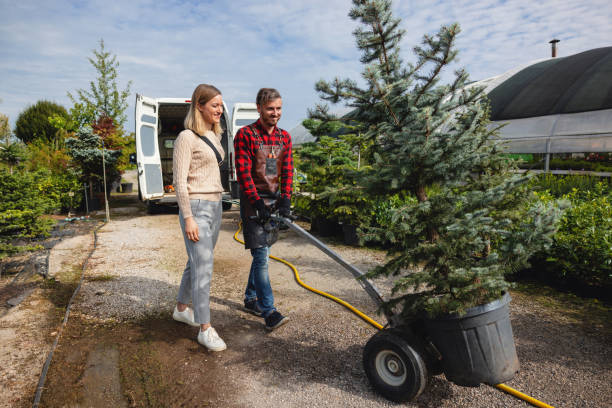 Best Tree and Shrub Care  in Carlisle, KY